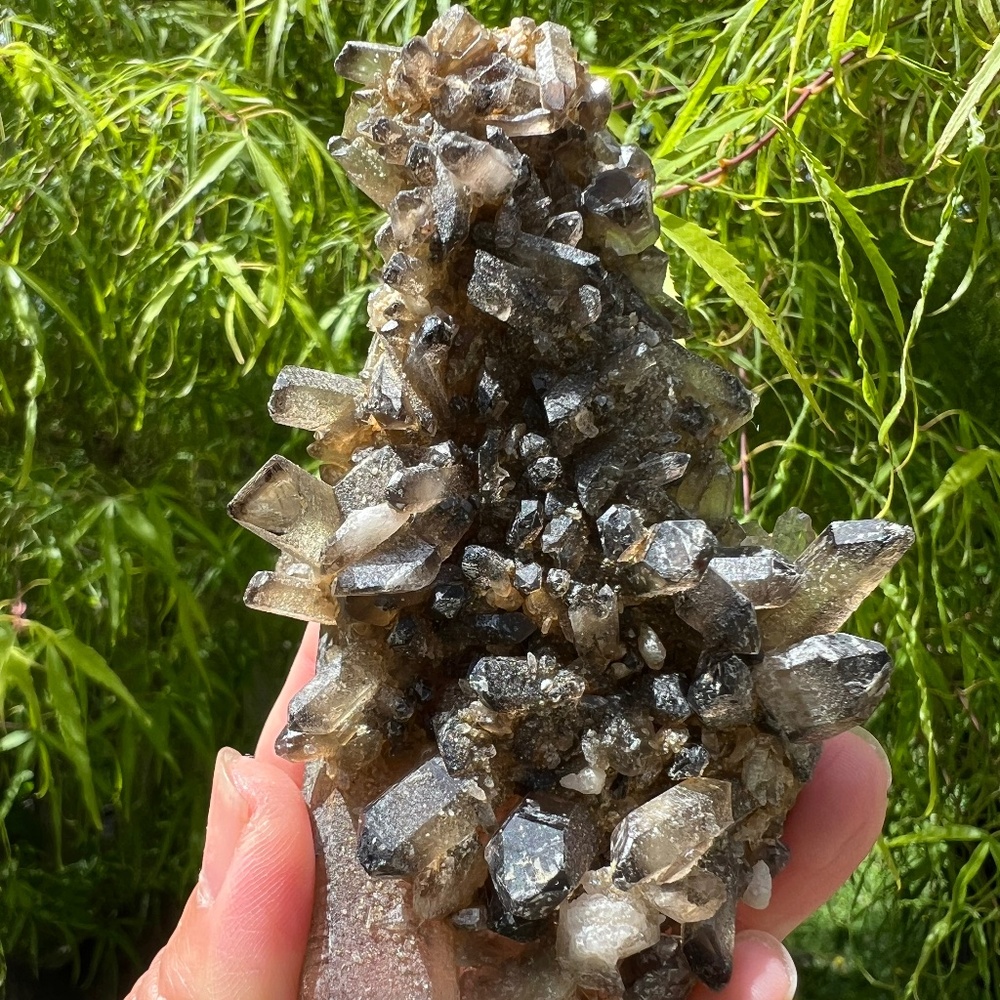 Smokey Quartz cluster (d) | crystal